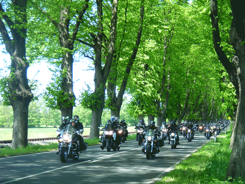 Sternfahrt durch die Lindenalle Bad Doberan